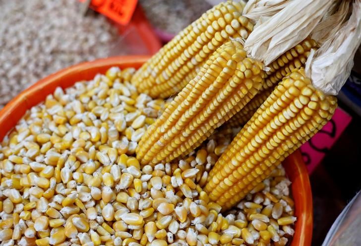 © Reuters. Corn cobs and yellow corn are on display at a market in Mexico City