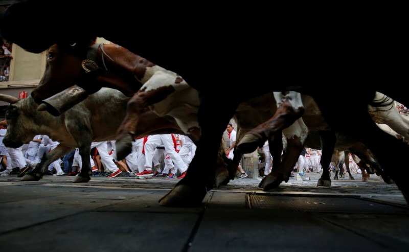 © Reuters. A runner is seen through the legs of bulls sprinting towards the bullring during the first running of the bulls at the San Fermin festival in Pamplona