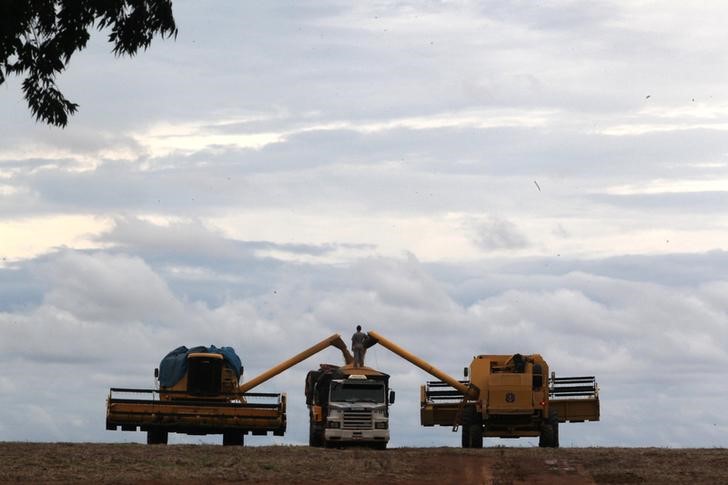 © Reuters. Caminhão carregado com soja em fazenda de Primavera do Leste, Mato Grosso