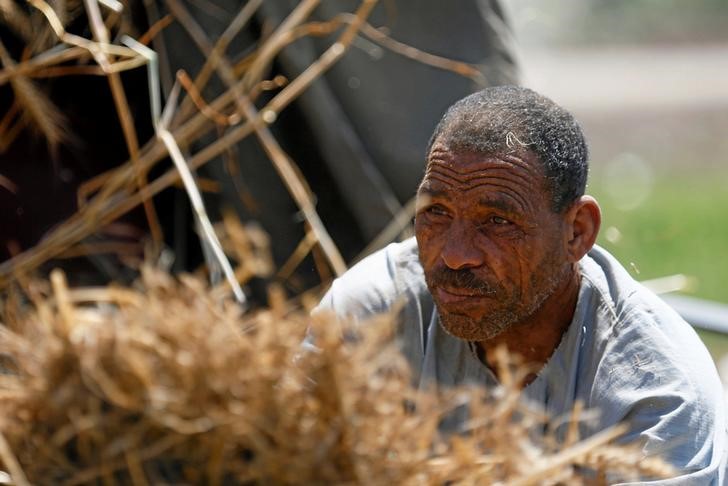 © Reuters. مصر توقف دعم الدقيق وتقلص واردات القمح بما يصل إلى 10%