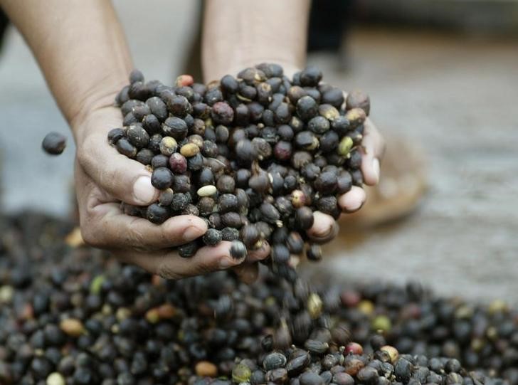 © Reuters. Mulher manuseia grãos de café em São Paulo