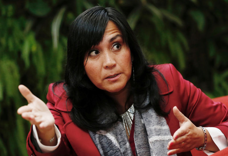 © Reuters. Chile's Minister of Transport Paola Tapia speaks during an interview with Reuters in Santiago