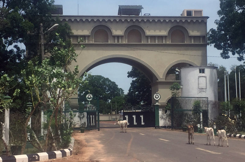 © Reuters. Cattle amble towards an archway at the entrance of former Gambian President Yahya JammehÕs estate in Kanilai