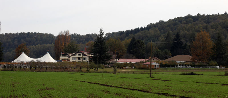 © Reuters. FILE PHOTO A general view of Villa Baviera hotel, a hotel run by German colonists at Villa Baviera (Baviera Village), which used to be the location of Colonia Dignidad (Dignity Community) in Parral town