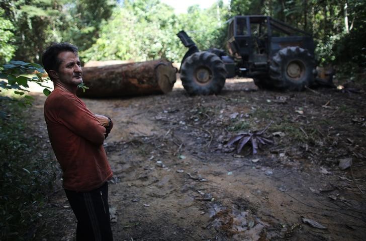 © Reuters. Em foto de arquivo, homem é flagrado extraindo madeira ilegalmente do Parque Nacional de Jamanxim, Brasil