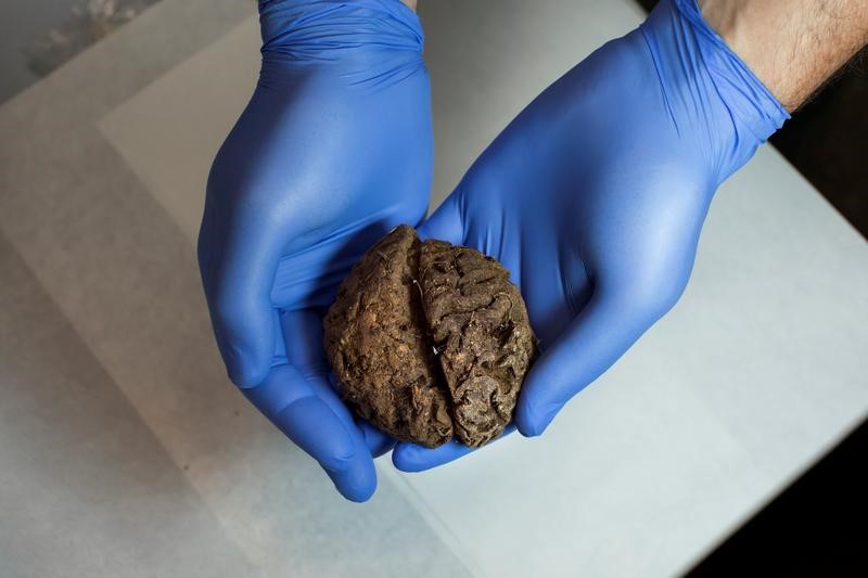 © Reuters. Hallados 45 cerebros conservados de forma natural en fosa de Guerra Civil