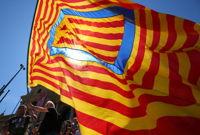 © Reuters. A man flies a "Estelada" during a pro-independence rally in Barcelona