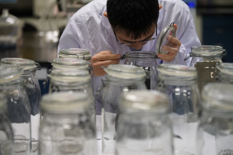 © Reuters. An employee conducts an "odor test" at the Polymer Laboratory at Ford's research and development center in Nanjing