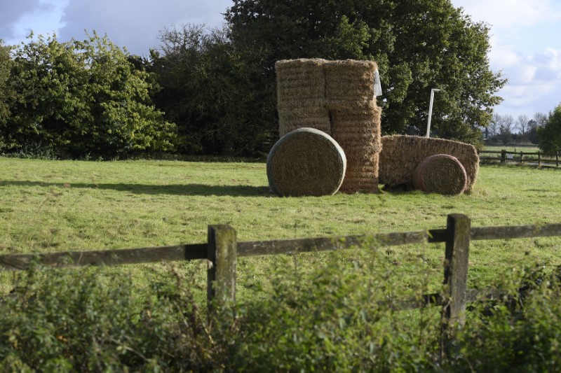© Reuters. A stack of hay bales shaped as a tractor is seen in a field in Norfolk, in eastern England, October 20, 2016. Photograph taken on October 20