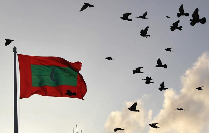 © Reuters. A Maldives national flag flutters as pigeons fly past during the morning in Male