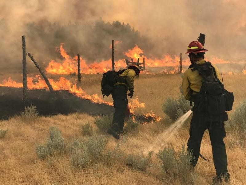 © Reuters. رجال الإطفاء يكافحون لوقف انتشار حريق ولاية مونتانا الأمريكية