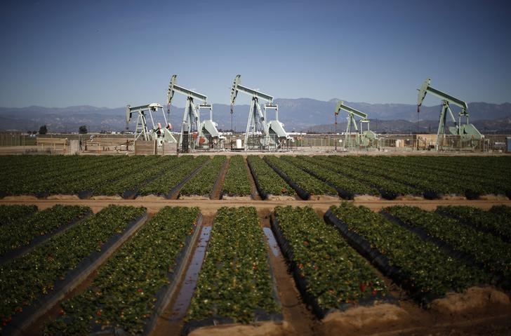 © Reuters. Bombas de petróleo ao lado de plantação de morangos em Oxnard, na Califórnia, Estados Unidos