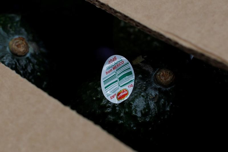 © Reuters. FILE PHOTO: An avocado is pictured boxed to be delivered in the Global Frut Packing Company in Uruapan, in Michoacan state, Mexico