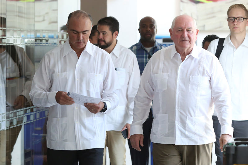 © Reuters. U.S. Agriculture Secretary Sonny Perdue and his Mexican counterpart Jose Calzada arrive to a news conference in Merida