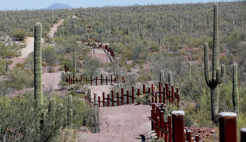 © Reuters. Barreira para veículos na fronteira entre EUA e México perto de Saguaro, em reserva florestal no Estado do Arizona