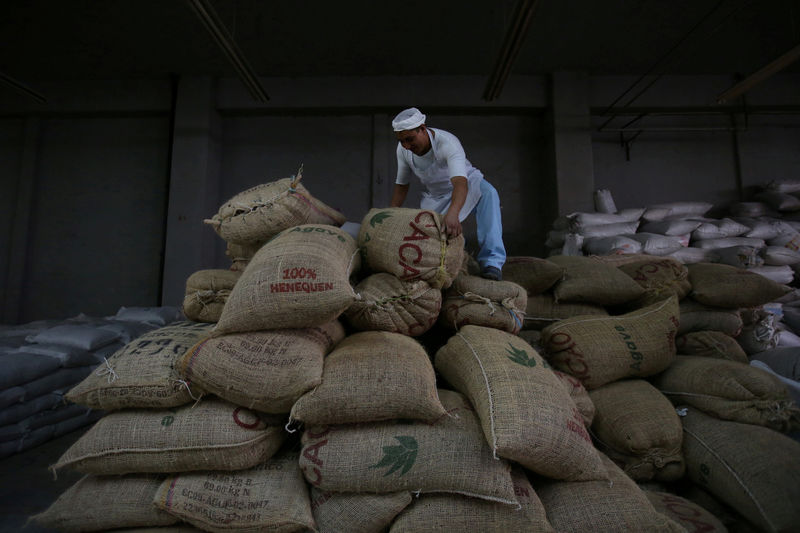 © Reuters. FILE PHOTO: An employee stacks cocoa sacks in La Giralda chocolate factory in Mexico City