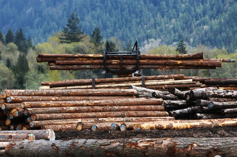 © Reuters. Log drivers at Sqomish Forestry LP work a barge of logs in Squamish.