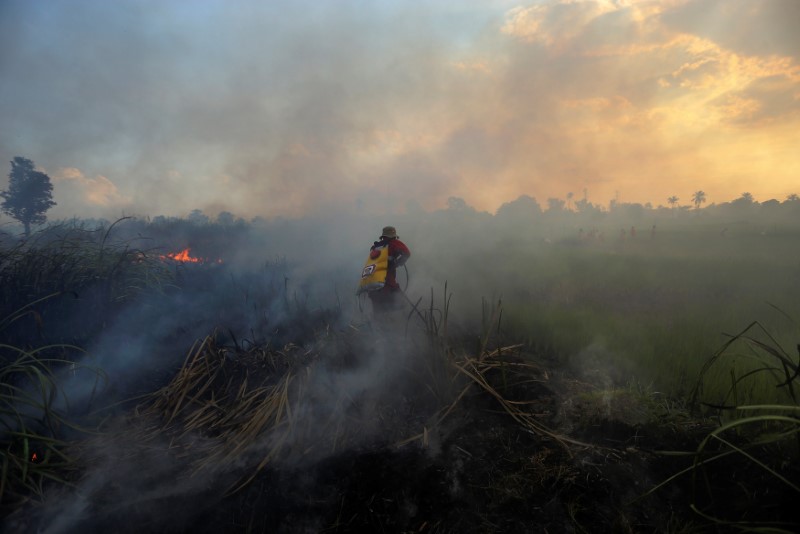 © Reuters. A firefighter tries to extinguish a bush fire in Ogan Ilir regency, South Sumatra