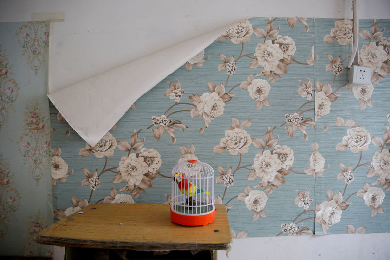 © Reuters. A toy parrot is left behind in a former migrant home before its demolition at Dongsanqi village in the outskirts of Beijing