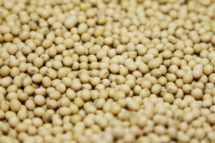 © Reuters. Bushel de soja é visto em instalação da Monsanto em Creve Coeur, Estados Unidos