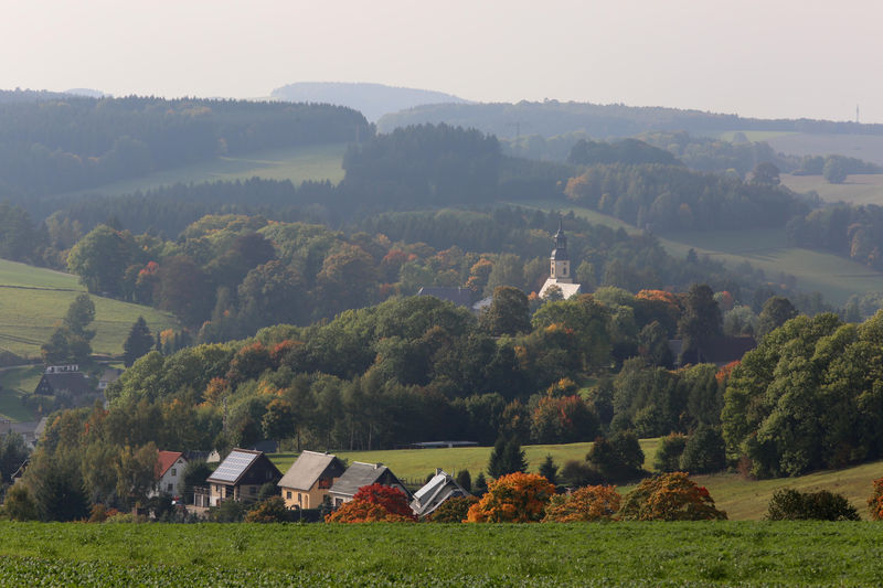 © Reuters. Anti-immigration party Alternative fuer Deutschland AfD success in Eastern Germany at federal election