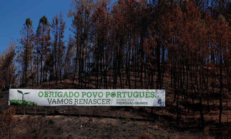 © Reuters. Faixa perto de Pedrogão Grande, Portugal