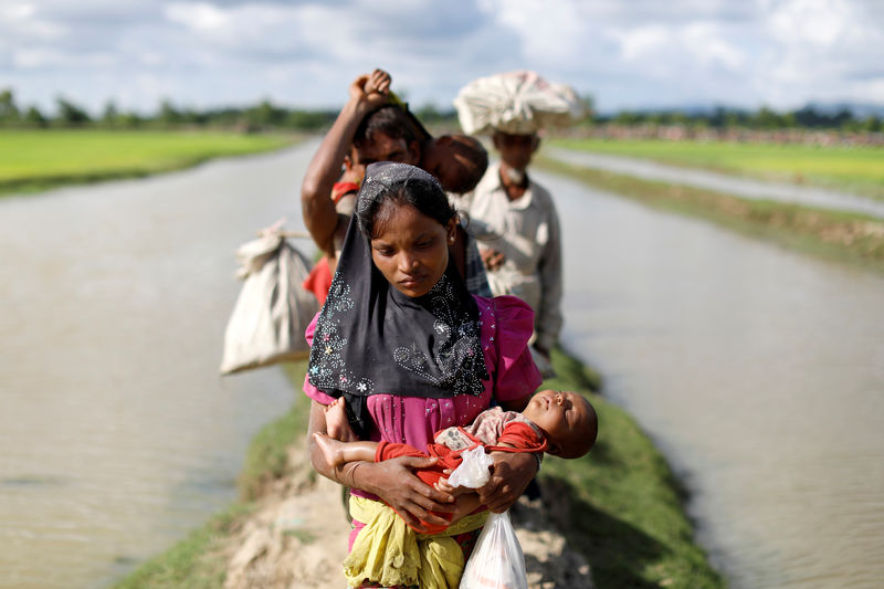 © Reuters. Refugiados rohingyas atravessam campo de arroz após cruzarem a fronteira de Myanmar para Bangladesh