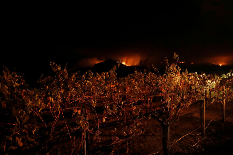 © Reuters. Vinícola é vista durante incêndio florestal em Kenwood, na Califórnia