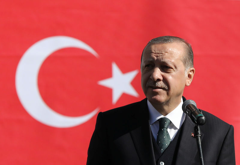 © Reuters. استقبال حار لإردوغان في مدينة صربية مسلمة