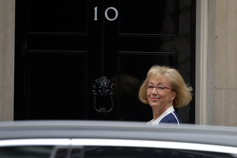 © Reuters. Britain's Leader of the House of Commons Andrea Leadsom arrives for the cabinet's weekly meeting in Downing Street