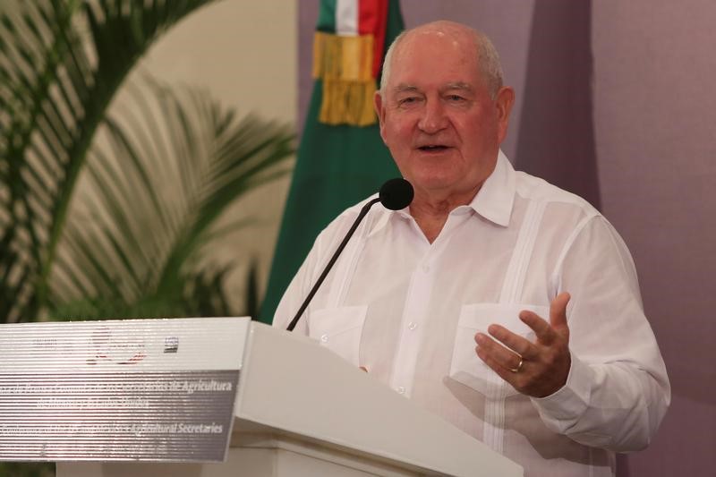 © Reuters. FILE PHOTO: U.S. Agriculture Secretary Sonny Perdue gestures during a news conference with his Mexican counterpart Jose Calzada in Merida