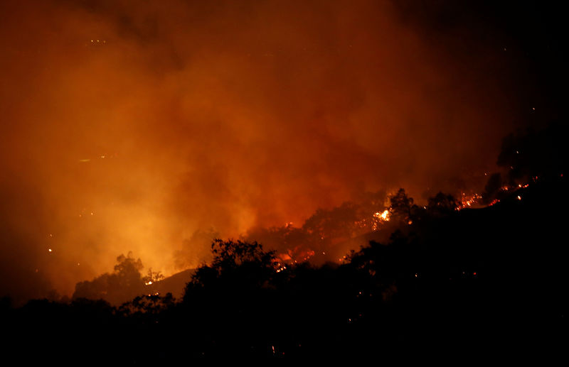 © Reuters. The Pocket wildfire burns in the hills above Geyserville