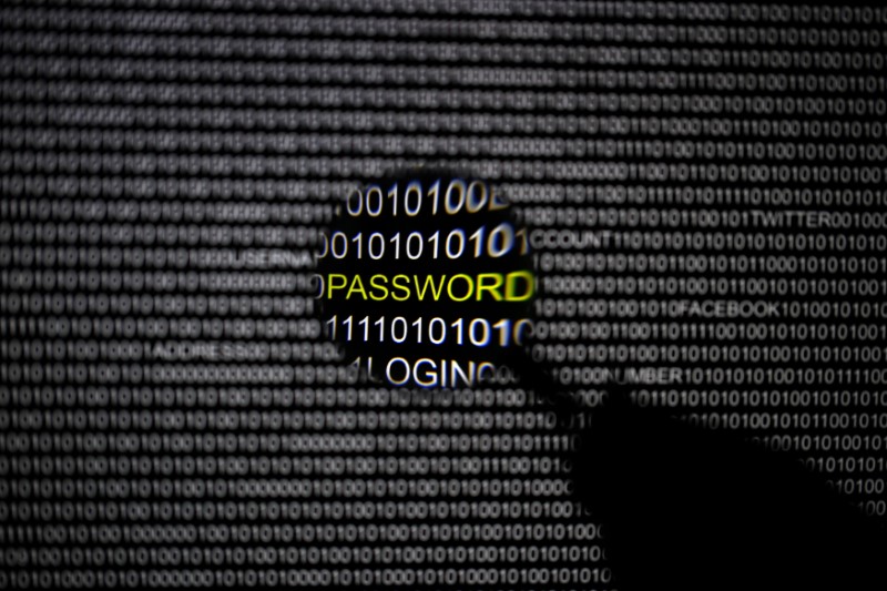 © Reuters. FILE PHOTO: A magnifying glass is held in front of a computer screen in this picture illustration taken in Berlin