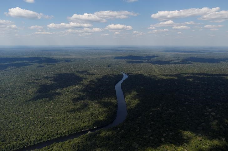 © Reuters. Vista aérea mostra o rio Apui no Estado do Amazonas