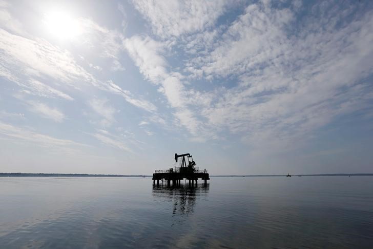 © Reuters. Нефтяной насос канадской группы Vermilion Energy в Паранти-ан-Борн, Франция