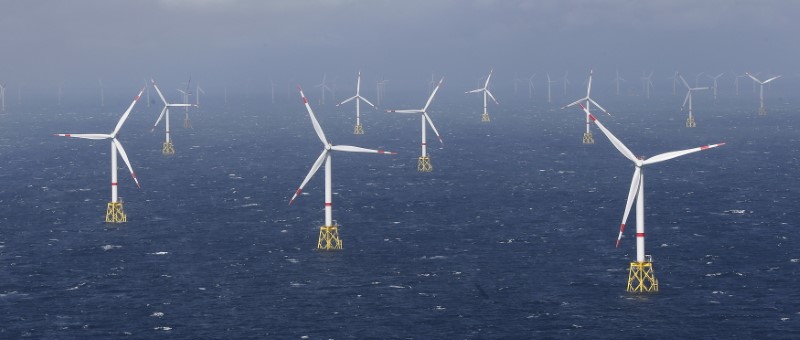 © Reuters. Power-generating windmill turbines are pictured at 'Amrum Bank West' offshore windpark in the northern sea near the island of Amrum