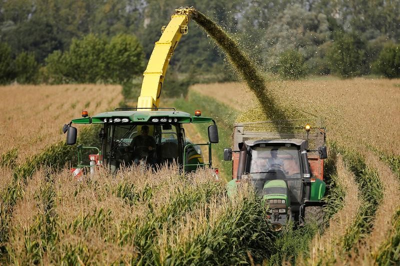 © Reuters. VILMORIN ESPÈRE SURFER SUR LE RACHAT DE SYNGENTA PAR UN CHINOIS