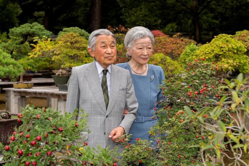 © Reuters. El emperador Akihito de Japón abdicaría en marzo de 2019: medio