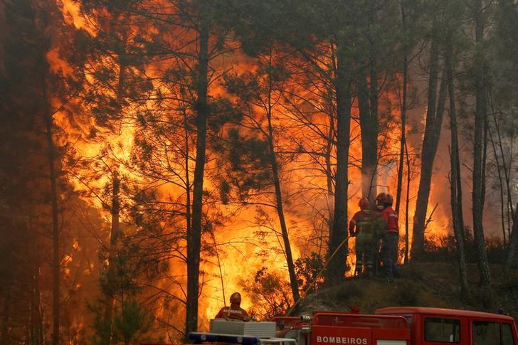 © Reuters. Bombeiros combatem fogo em floresta em Capelo, Portugal