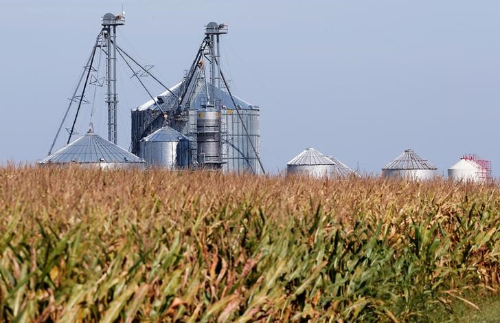 © Reuters. Silos de grãos são vistos em propriedade em Morocco, Indiana