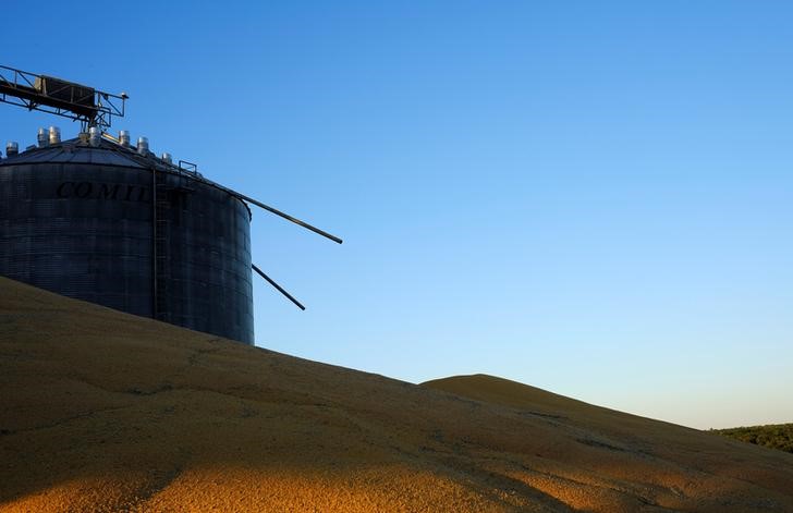 © Reuters. Grãos de milho são vistos armazenados ao lado de silo lotado perto de Sorriso, Brasil