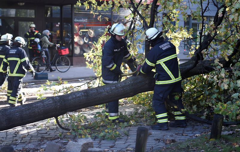 © Reuters. Frefighters work on a tree that fell during stormy weather caused by a storm called "Herwart," in Hamburg