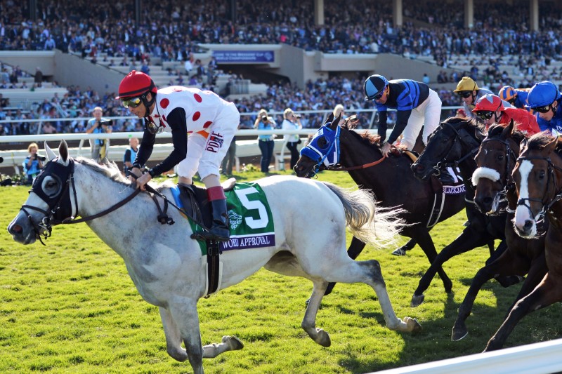 © Reuters. Horse Racing: 34th Breeders Cup World Championships