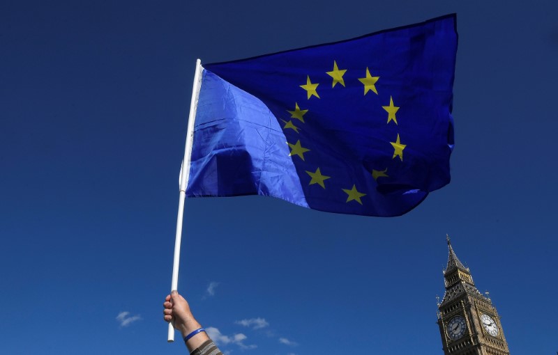 © Reuters. A protestor waves an EU flag as he walks past the Houses of Parliament in central London