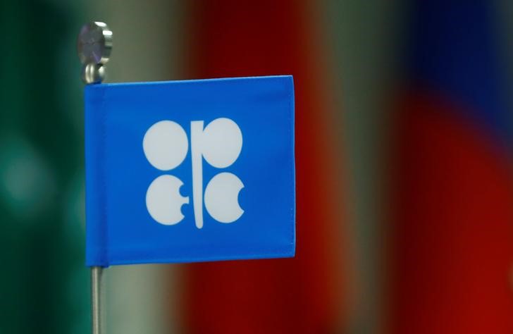 © Reuters. A flag with the Organization of the Petroleum Exporting Countries (OPEC) logo is seen during a meeting of OPEC and non-OPEC countries in Vienna