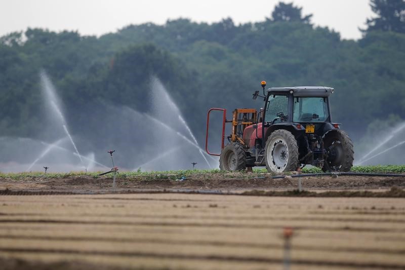 © Reuters. LE DÉFICIT COMMERCIAL SE CREUSE À NOUVEAU EN SEPTEMBRE