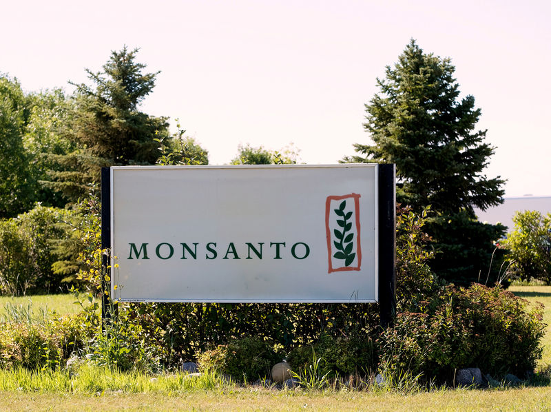 © Reuters. FILE PHOTO: Monsanto's research farm is pictured near Carman, Manitoba