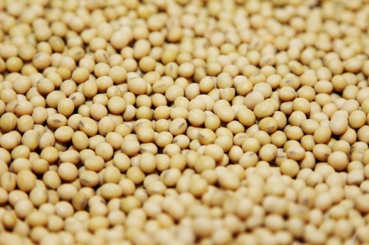 © Reuters. Bushel de soja é visto em instalação de pesquisa da Monsanto em Creve Coeur, nos Estados Unidos