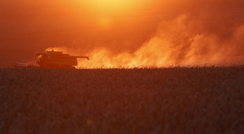 © Reuters. روسيا تهدف لزيادة طاقة تصدير الحبوب 50% في غضون ثلاث سنوات