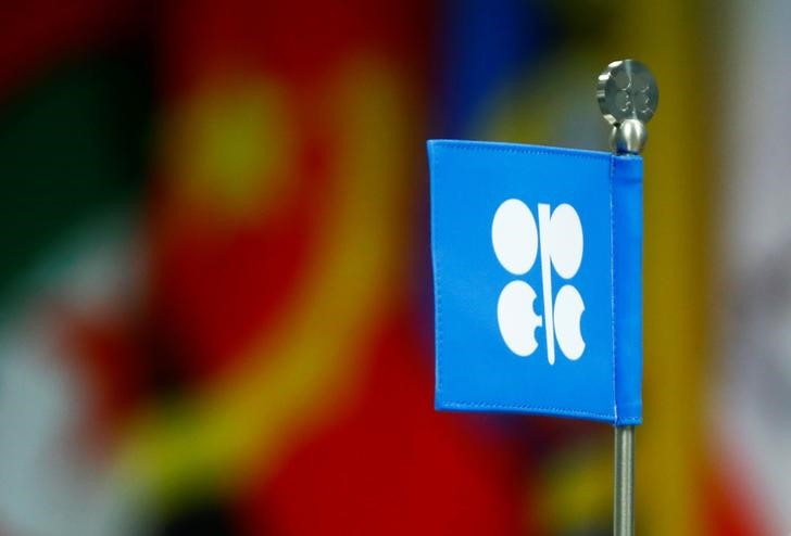 © Reuters. Флаг с логотипом ОПЕК на встрече стран картеля и не входящих в него нефтепроизводителей в Вене